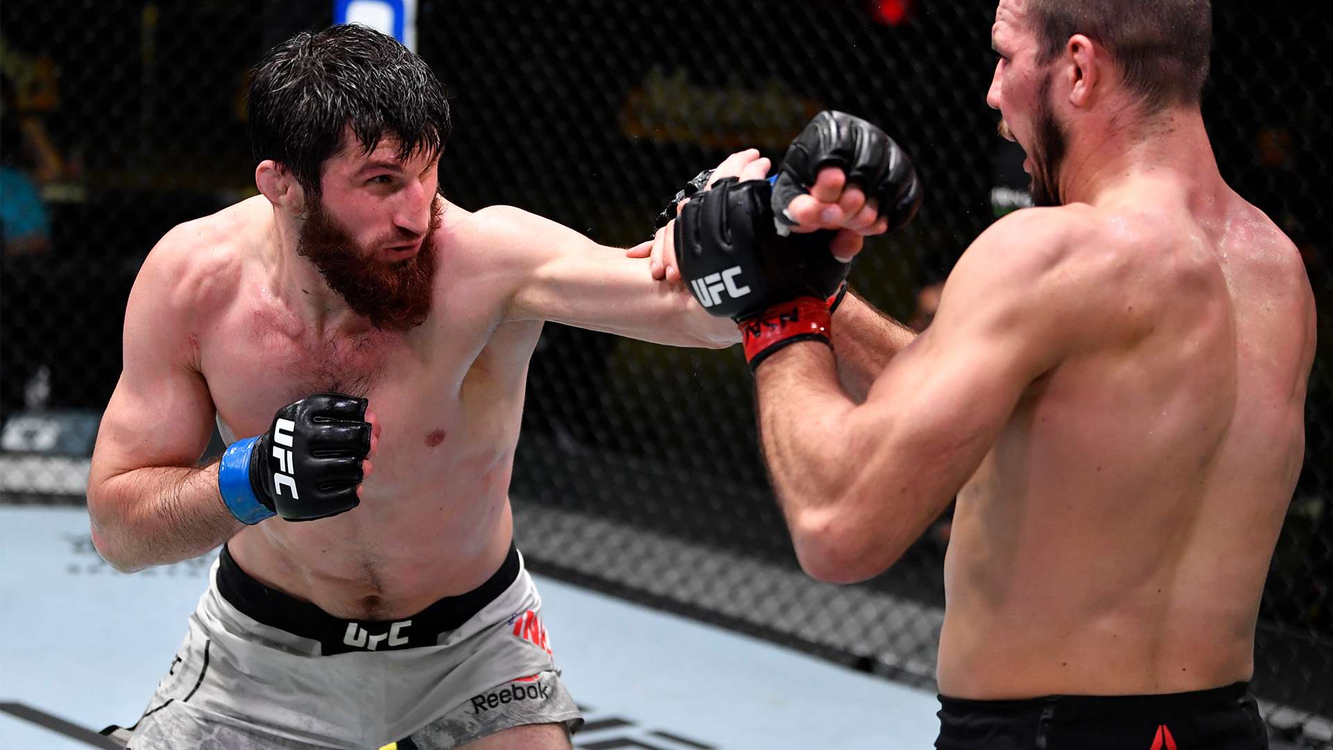 神的传递 神的传递